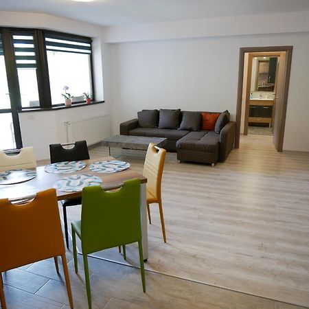 Riky Apart Mountain View Apartamento Sinaia Exterior foto