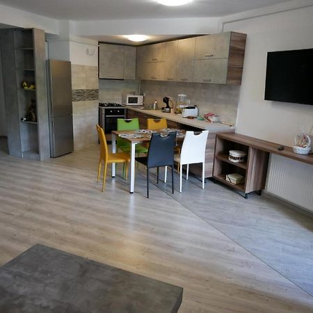 Riky Apart Mountain View Apartamento Sinaia Exterior foto