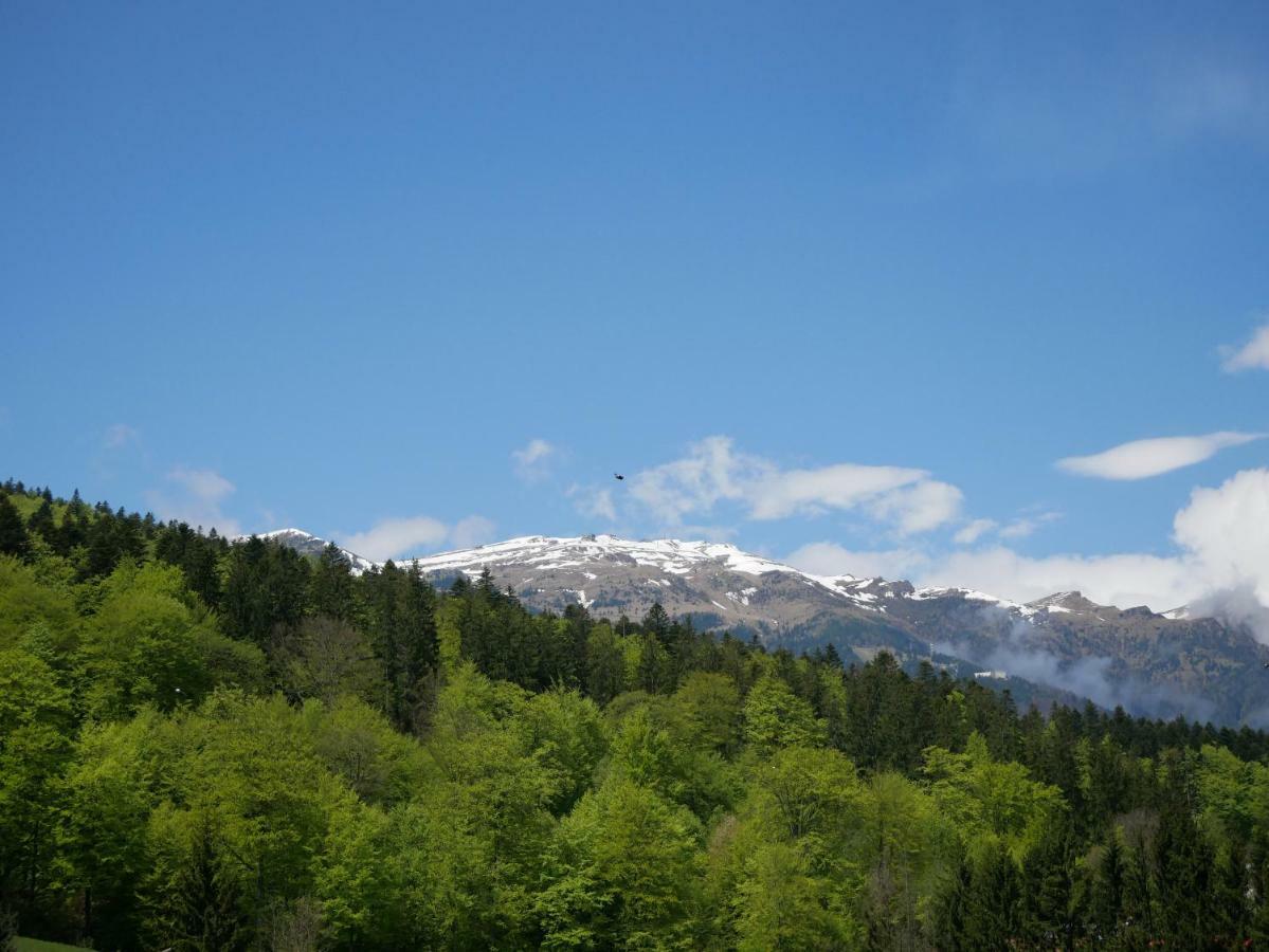 Riky Apart Mountain View Apartamento Sinaia Exterior foto