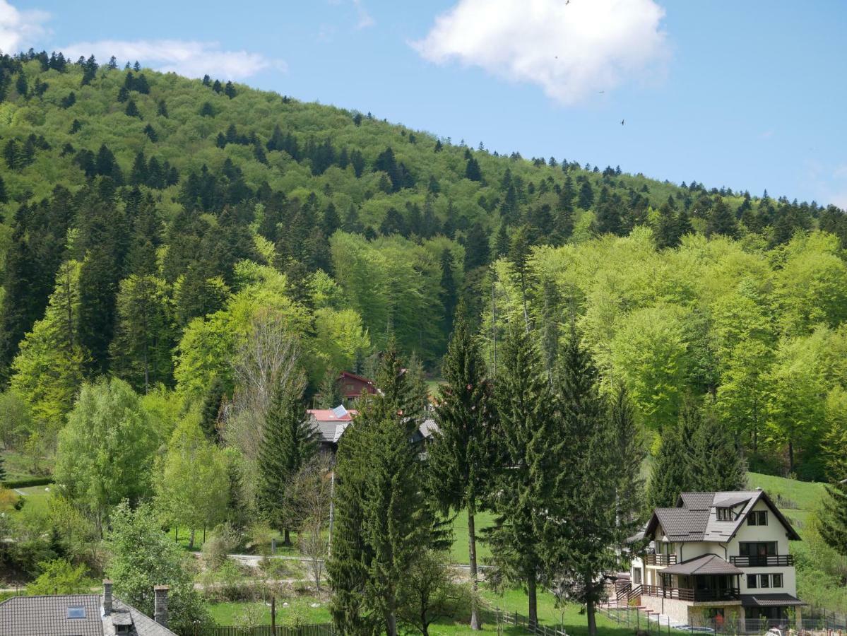 Riky Apart Mountain View Apartamento Sinaia Exterior foto