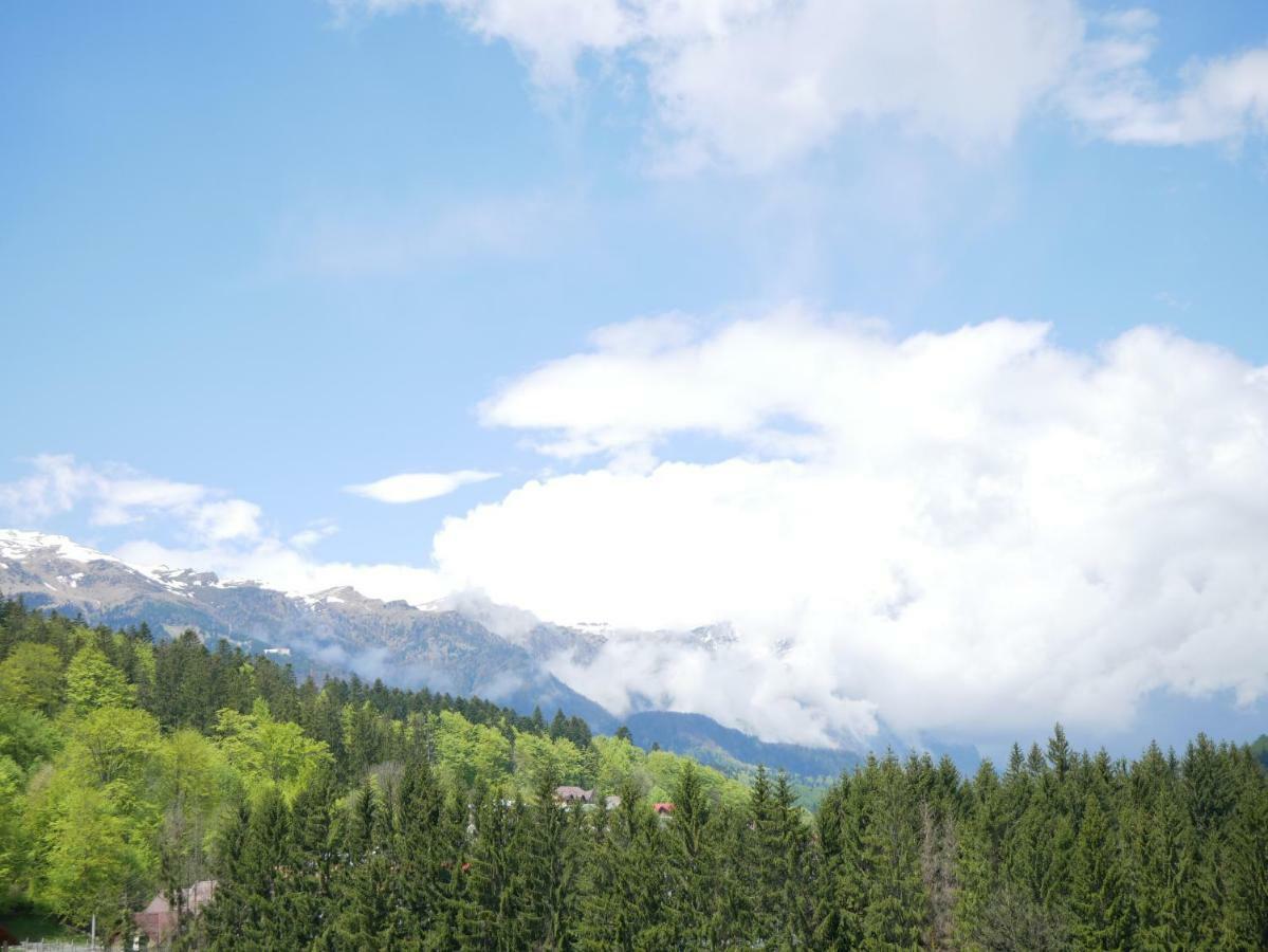 Riky Apart Mountain View Apartamento Sinaia Exterior foto