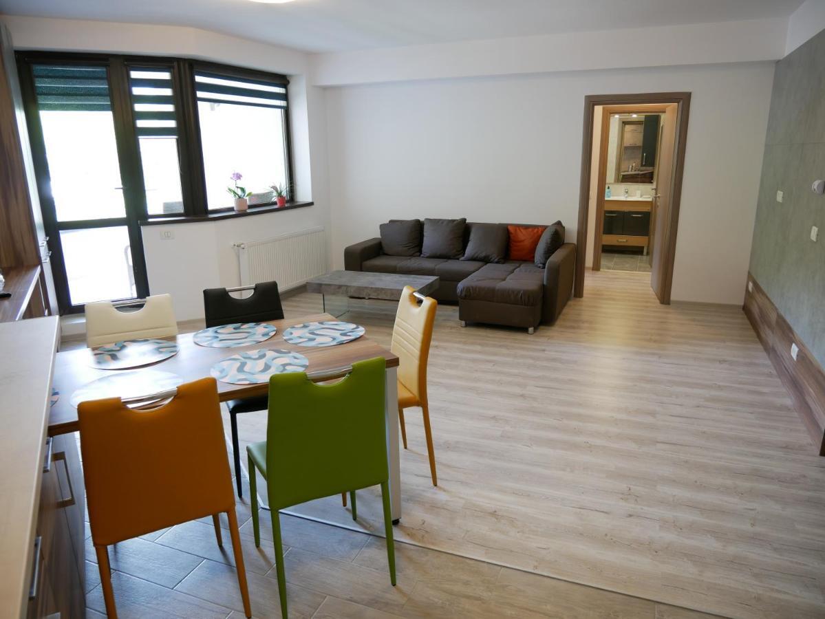 Riky Apart Mountain View Apartamento Sinaia Exterior foto