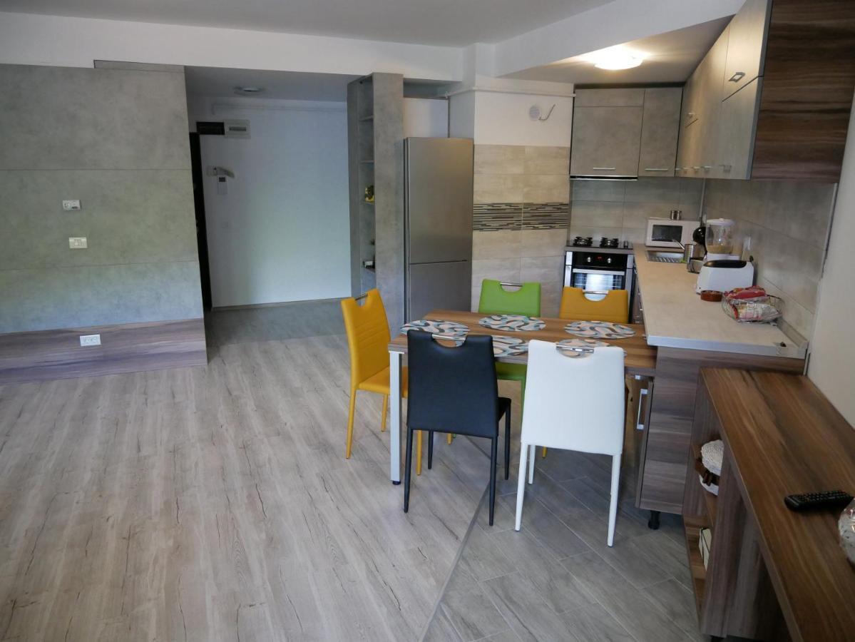 Riky Apart Mountain View Apartamento Sinaia Exterior foto