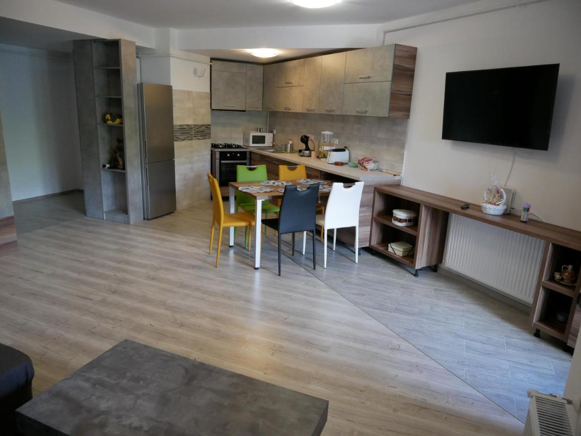 Riky Apart Mountain View Apartamento Sinaia Exterior foto