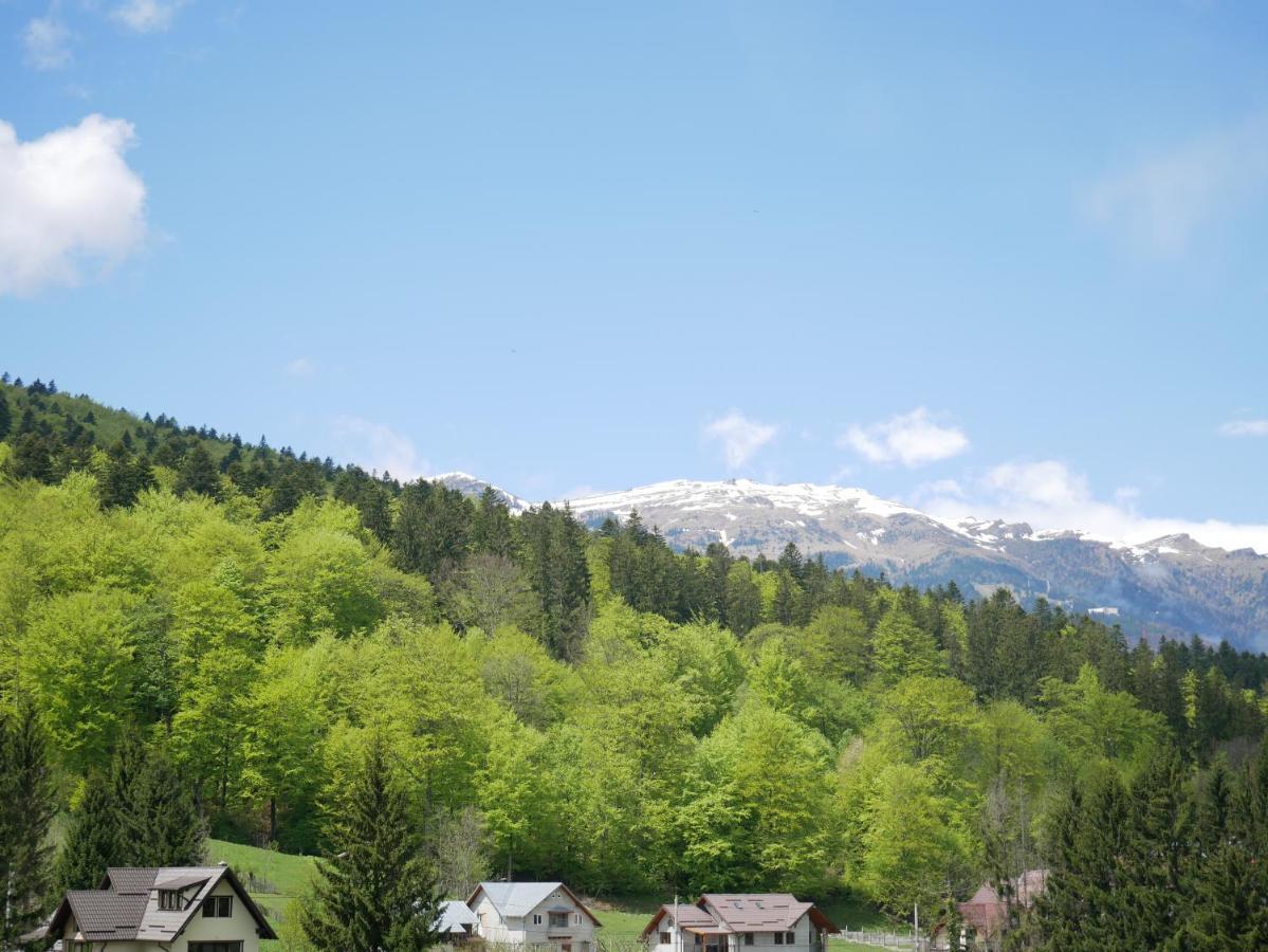 Riky Apart Mountain View Apartamento Sinaia Exterior foto