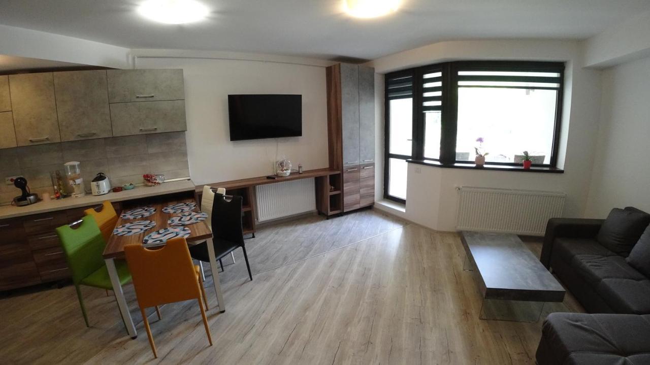 Riky Apart Mountain View Apartamento Sinaia Exterior foto