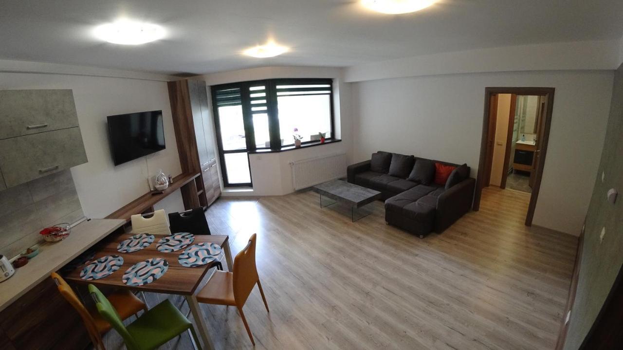 Riky Apart Mountain View Apartamento Sinaia Exterior foto