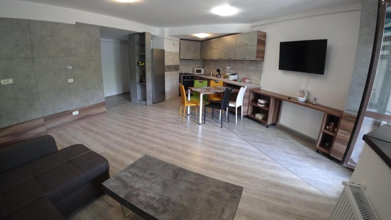 Riky Apart Mountain View Apartamento Sinaia Exterior foto